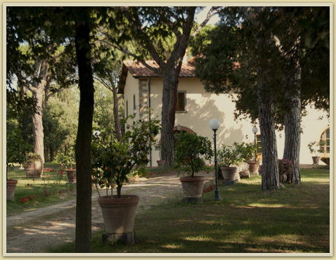 The Estate