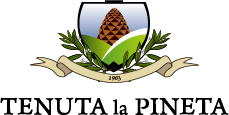 light logo