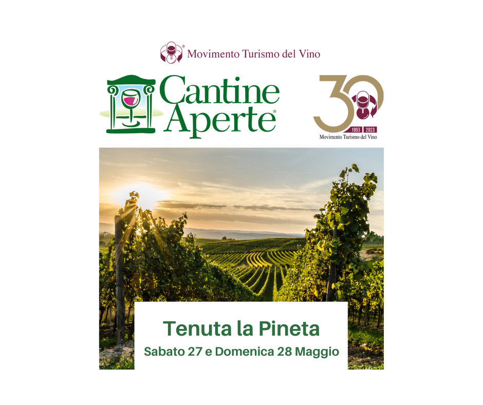 Cantine Aperte in Castiglion Fibocchi